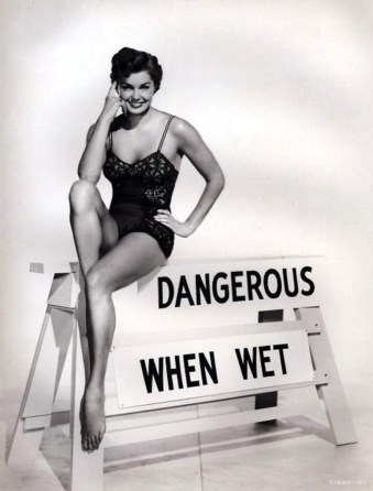 dangerous_when_wet